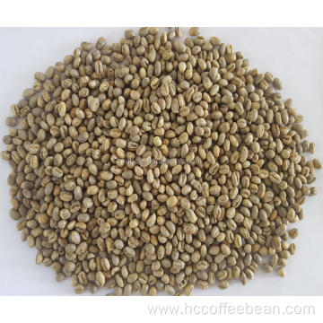round type yunnan green coffee beans
